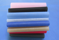 碌曲涤纶（PET）无纺布是什么